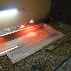 Reptile House (Common Snapping Turtle Exhibit)