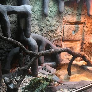 Reptile House (Yellow Anaconda exhibit)