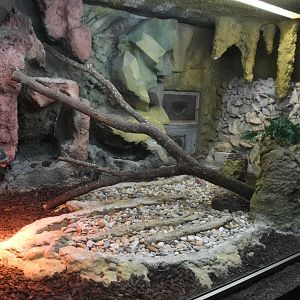 Reptile House (Boa Constrictor exhibit)
