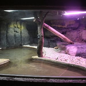 Reptile House (Reticulated Python exhibit)