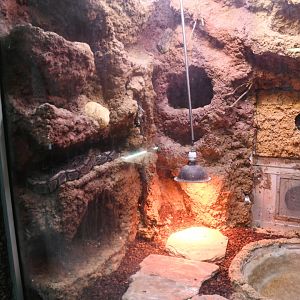 Reptile House (Ball Python exhibit)