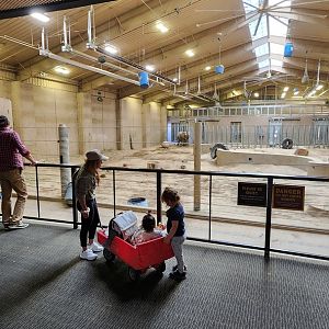 Indoor African Elephant Exhibit