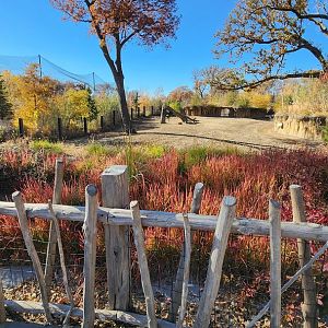 Pere David's Deer and Indian Rhino Exhibit