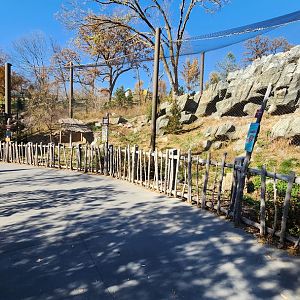Snow Leopard Exhibit