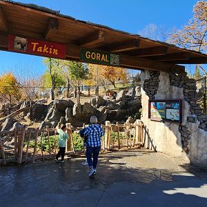 Takin and Goral Exhibit