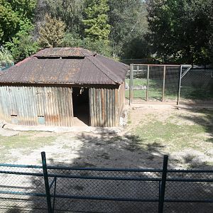 Visayan Spotted Deer paddock