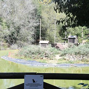 Lemur Island (Ring-tailed Lemurs)