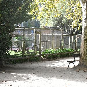 Parrot Aviaries