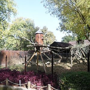 Red Panda and Reeves' Muntjac exhibit