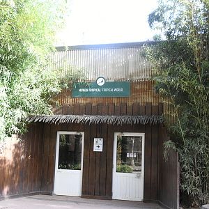 Tropical World House