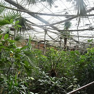 Tropical World House interior