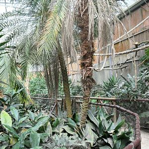 Tropical World House interior