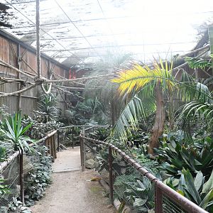 Tropical World House interior