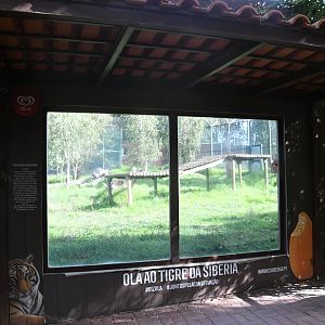 Amur Tigers exhibit viewing window