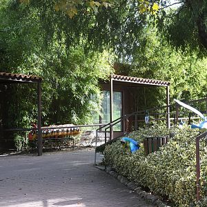 Amur Tigers exhibit viewing windows