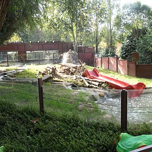 Asian Small-clawed Otters exhibit