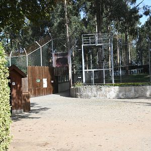 Entrance to the Asian Lions' exhibit tunnel