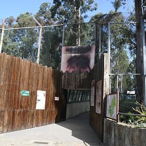 Entrance to the Asian Lions' exhibit tunnel