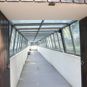Asian Lions' exhibit tunnel