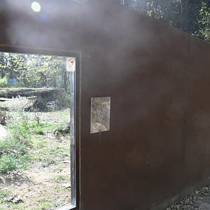 African Wild Dogs exhibit viewing windows