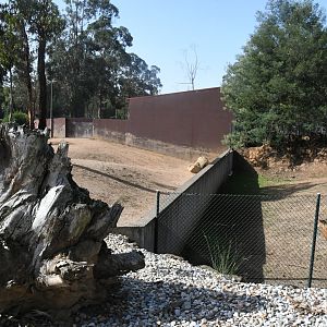 Wall between two African Savanna exhibits