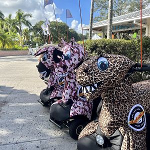 Yep.  Should have rented one.