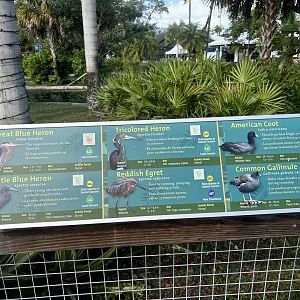 Birds exhibit the entrance Florida wetlands bird habitat