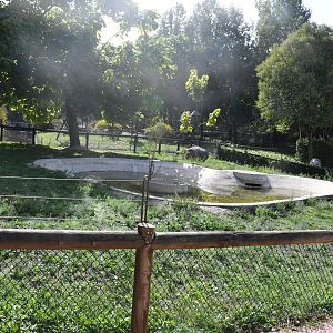 Lesser Flamingos exhibit