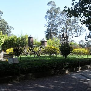 White-fronted Lemurs Island