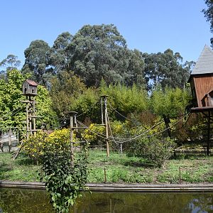 White-fronted Lemurs Island
