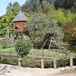 White-fronted Lemurs Island