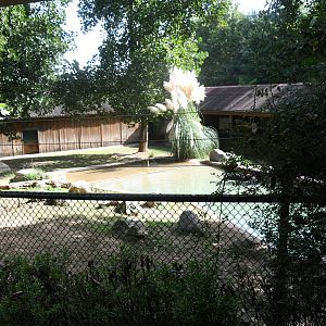 Pygmy Hippo and Southern Ground Hornbill exhibit