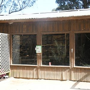 Emperor Tamarins exhibit