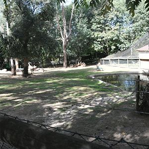 Bennett's Wallabies and Emus exhibit