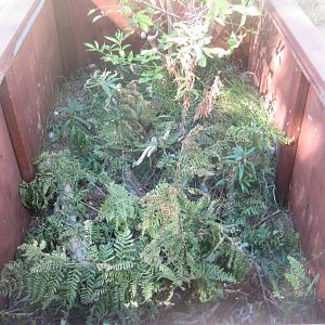 Fun-Park - Snail exhibit