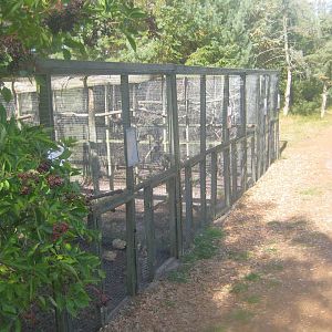 Fun-Park - Aviary row