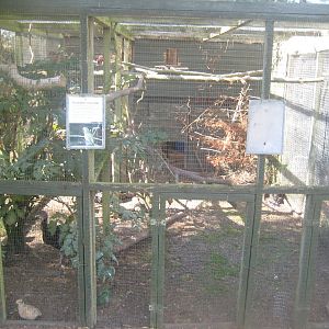 Fun-Park - Mixed aviary