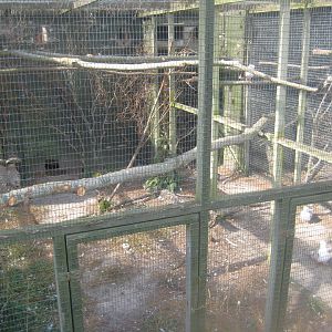 Fun-Park - Pigeon aviary