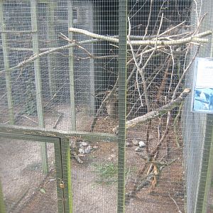 Fun-Park - Cockatiel aviary
