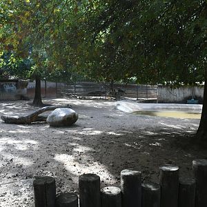 Brazilian Tapirs and Capybaras exhibit