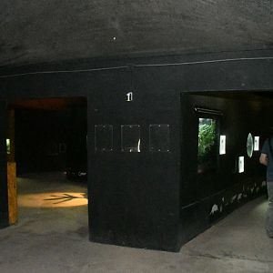 Nocturnal House Interior