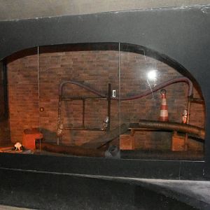 Nocturnal House (Brown Rats exhibit)