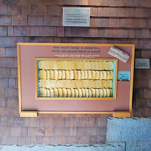 Squam Lakes NSC, 7/22 - Wood Energy Exhibit