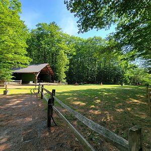 Squam Lakes NSC, 7/22 - Picnic area