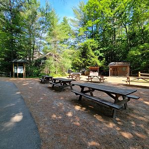 Squam Lakes NSC, 7/22 - Picnic area