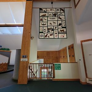 Squam Lakes NSC, 7/22 - Trailhead Gallery