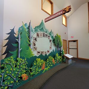 Squam Lakes NSC, 7/22 - Trailhead Gallery, interrelationships