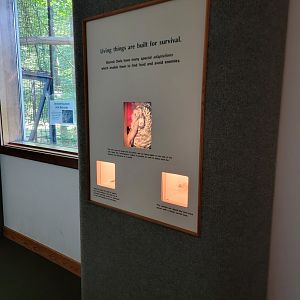 Squam Lakes NSC, 7/22 - Trailhead Gallery, living things are built for survival