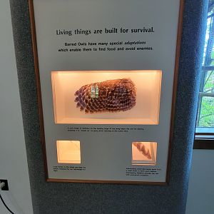 Squam Lakes NSC, 7/22 - Trailhead Gallery, living things are built for survival