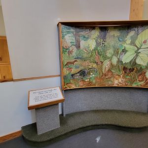 Squam Lakes NSC, 7/22 - Trailhead Gallery